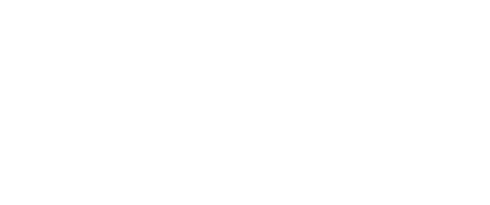 Logo 55 Media - Agenzia di Comunicazione Ferrara